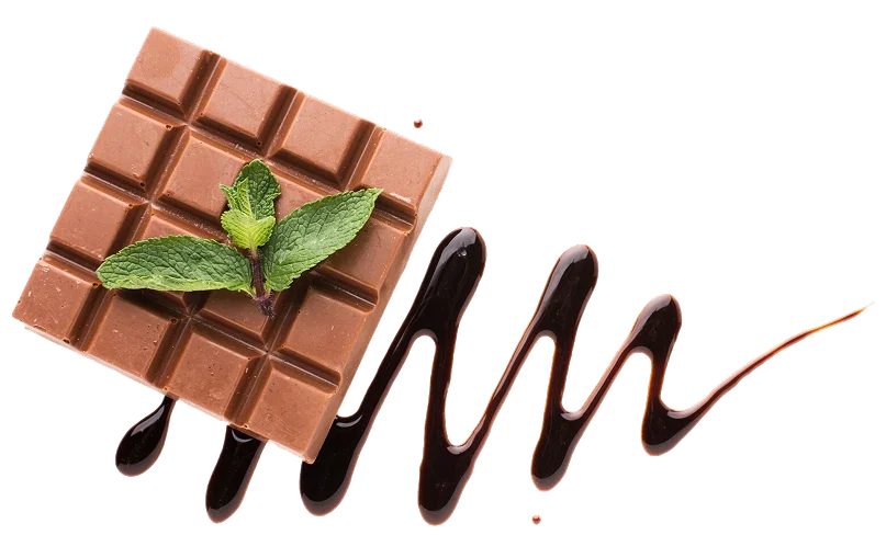 Chocolate bar with mint and chocolate drizzle